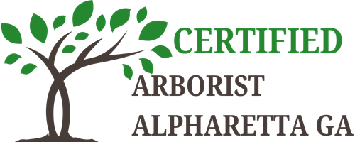 Certified Arborist Alpharetta GA